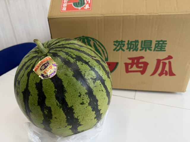 スイカ