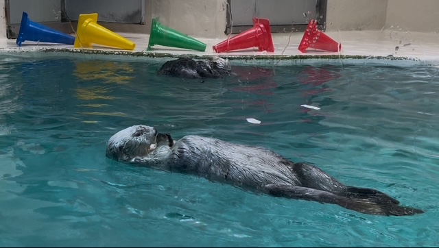 令和7年度社内旅行